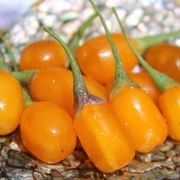 Kategoriename Kategoriename